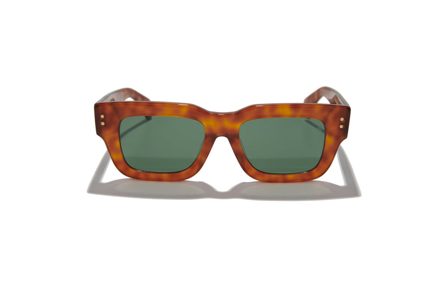 DETROIT IVY | Havana Brown