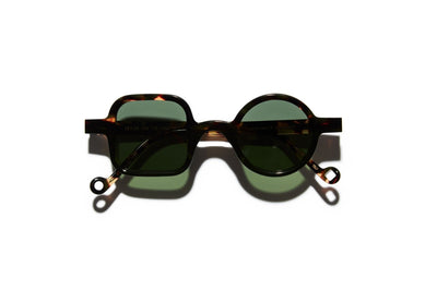 LIMONCELLO | Tortoise