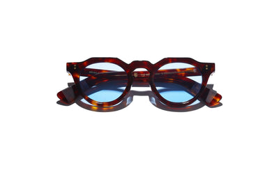 THE MONARCH | Tortoise